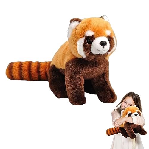 lilizzhoumax Roter Panda Plüschtier 28cm/11”, Simuliertes Tier Roter Panda Plüschtier, Kawaii Roter Panda, Realistische Roter Panda Plüschspie Spielzeug für Wilde Tiere, Geschenk für Kinder lilizzhoumax Roter Panda Plüschtier 28cm/11”, Simuliertes Tier Roter Panda Plüschtier, Kawaii Roter Panda, Realistische Roter Panda Plüschspie Spielzeug für Wilde Tiere, Geschenk für Kinder von lilizzhoumax
