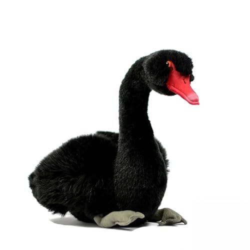 lilizzhoumax Schwarzer Schwan plüschtier 23cm/9”, Simuliertes Tier Kawaii Schwarzer Schwan Plüsch, Realistische Vogel Spielzeug für Wilde Tiere, Geschenk für Freunde und Kinder pelziges Stofftier lilizzhoumax Schwarzer Schwan plüschtier 23cm/9”, Simuliertes Tier Kawaii Schwarzer Schwan Plüsch, Realistische Vogel Spielzeug für Wilde Tiere, Geschenk für Freunde und Kinder pelziges Stofftier von lilizzhoumax