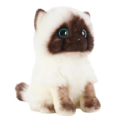 lilizzhoumax Siamesische Katze Plüschtier 23cm/9”, Simuliertes Tier Katze Plüschtier Kawaii Katze Kuscheltier Realistische Plüsch Spielzeug für Wilde Tiere, Geschenk für Freunde und Kinder lilizzhoumax Siamesische Katze Plüschtier 23cm/9”, Simuliertes Tier Katze Plüschtier Kawaii Katze Kuscheltier Realistische Plüsch Spielzeug für Wilde Tiere, Geschenk für Freunde und Kinder von lilizzhoumax