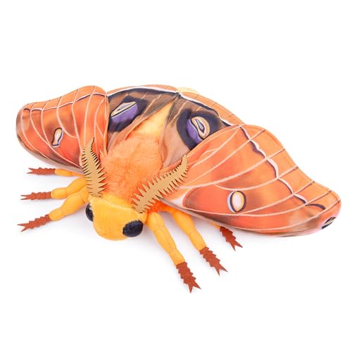 lilizzhoumax Simulation Polyphone Hawkmoth Plüschtier 10,62 Zoll Weiches realistisches Hawkmoth Stofftier für Kinder Insektenliebhaber Jungen und Mädchen Geschenke Heimdekoration lilizzhoumax Simulation Polyphone Hawkmoth Plüschtier 10,62 Zoll Weiches realistisches Hawkmoth Stofftier für Kinder Insektenliebhaber Jungen und Mädchen Geschenke Heimdekoration von lilizzhoumax