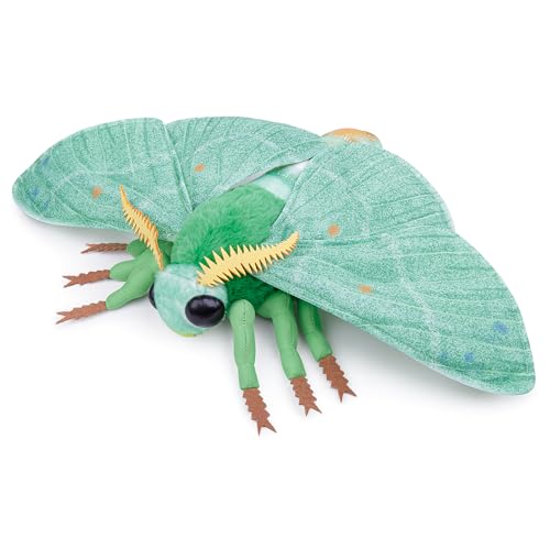 lilizzhoumax Smaragdmotte Stofftier Plüschtier realistisches Smaragdmotte Plüsch schönes Tier niedliche und weiche Geschenke für Kinder Jungen und Mädchen Spielzeug 10.6” Grün lilizzhoumax Smaragdmotte Stofftier Plüschtier realistisches Smaragdmotte Plüsch schönes Tier niedliche und weiche Geschenke für Kinder Jungen und Mädchen Spielzeug 10.6” Grün von lilizzhoumax