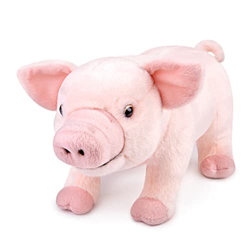 lilizzhoumax Schwein Plüschtier Rosa 35cm Kawaii Realistische Weiches Schwein Kuscheltier Plüsch Stofftier Spielzeug Kissen Dekoration Geburtstagsgeschenke für Kinder und Babys Mädchen Jungen von lilizzhoumax