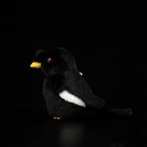 lilizzhoumax schwarzer Star plüschtier 14cm/5” Simuliertes Tier Kawaii schwarzer Star Plüsch Realistische Vogel Spielzeug für Wilde Tiere Geschenk für Kinder pelziges Stofftier Vogelsammlung von lilizzhoumax