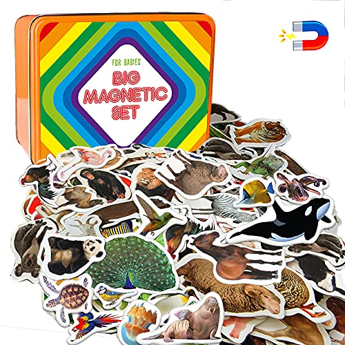 Magdum 110 Set Magnete Kinder für magnettafel Bauernhof+ Zoo+ Waldtiere+ Vögel+ Meerestiere Foto - Magnet Spielzeug Kinder - Kühlschrankmagnete Kinder -Spielzeug ab 3 Jahre - Lernspiele ab 3 Jahre von magdum