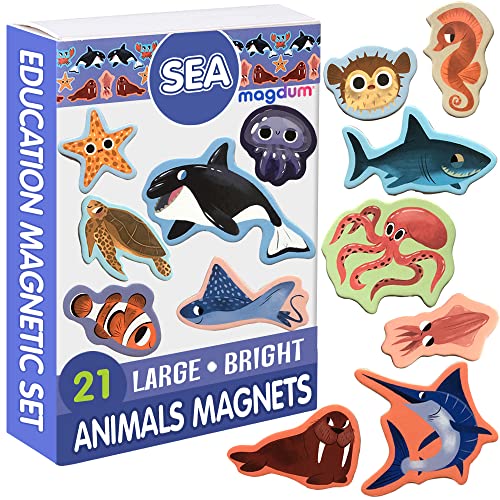 Magdum 21 Meerestiere Magnete Kinder für magnettafel - Magnet spielzeug kinder - Kinder Magnete -Kühlschrankmagnete Kinder - Kühlschrank Magnete set Kinder -Spielzeug ab 3 jahre -Lernspiele ab 3 jahre von magdum