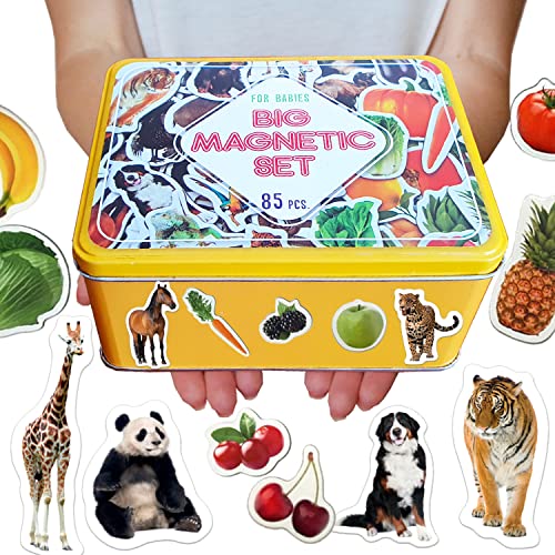 magdum 85 Zoo + BAUERNHOFTIERE + Obst + GEMÜSE Foto Magnete Kinder für magnettafel - Magnet Spielzeug Kinder - Kühlschrankmagnete Kinder -Spielzeug ab 3 Jahre - Lernspiele ab 3 Jahre - Kinder Magnete von magdum