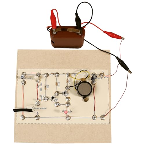 matches21 HOME & HOBBY Bewegungsmelder DIY Holz Bastelset für Kinder ab 12 Jahren Elektronik Bausatz ohne Platine von matches21 HOME & HOBBY