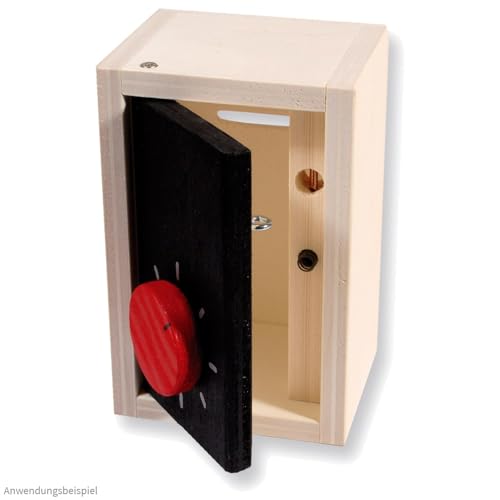 matches21 HOME & HOBBY Tresor DIY Holz Bastelset für Kinder ab 12 Jahren Bausatz matches21 HOME & HOBBY Tresor DIY Holz Bastelset für Kinder ab 12 Jahren Bausatz von matches21 HOME & HOBBY