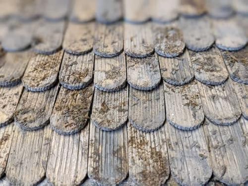 menta-modellbau Dachschindeln Tirol mit Rundung, 55 Stück Krippenbau Krippenzubehör Holzschindeln menta-modellbau Dachschindeln Tirol mit Rundung, 55 Stück Krippenbau Krippenzubehör Holzschindeln von menta-modellbau