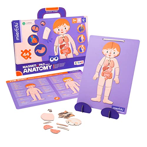 mierEdu Magnetpuzzle Menschliche Anatomie, Magnetisches Lernspiel für Kinder ab 3 Jahren, Montessori Spielzeug zur Förderung des Körperverständnisses, Magnettafel & Puzzle Pad für spielerisches Lernen von mierEdu