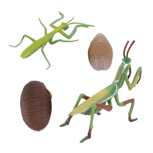 minkissy 1 Satz Lebenszyklus Modell Mantis Figuren Pädagogisches für Realistisch Gestaltete Insektenfiguren Kreativität und Lernen für Geburtstagsfeiern und Lernspiele minkissy 1 Satz Lebenszyklus Modell Mantis Figuren Pädagogisches für Realistisch Gestaltete Insektenfiguren Kreativität und Lernen für Geburtstagsfeiern und Lernspiele von minkissy