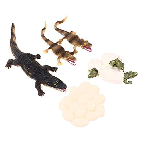 minkissy 1 Satz Mini Meereslebewesen Set Umweltfreundliches zur Simulation von Tierlebenszyklen für Schreibtischornament und Lehrmittel von minkissy