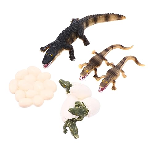 minkissy 1 Satz Mini Simulation Ocean Creature Set Umweltfreundliches Lebenszyklus für Pädagogisches Organism Modell als Desktop Ornament und Lernspielzeug von minkissy