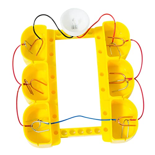 minkissy 1 Satz Obstbatterie Experiment Bildungsspielzeug für Schüler Physik Experimente für DIY Wissenschaftsprojekt zur Praktischer Fähigkeiten und Kreativität von minkissy