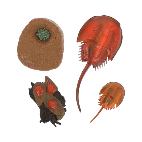 minkissy Kleiner Meerestier Spielzeugset Realistische Meeres Tiere für Kinder Lebenszyklus Simulation Schreibtisch Dekoration und Lehrmittel Sicheres Material minkissy Kleiner Meerestier Spielzeugset Realistische Meeres Tiere für Kinder Lebenszyklus Simulation Schreibtisch Dekoration und Lehrmittel Sicheres Material von minkissy