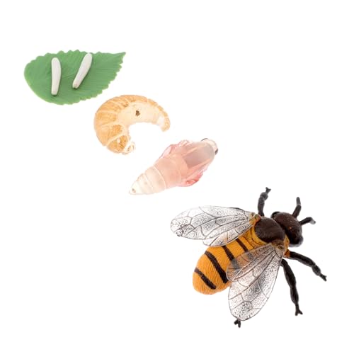 minkissy 1 Satz Simulation Cycle Bee Growth Model Realistische Insektenfiguren für und Spielzeugset für Kreative Spiele und Schulprojekte Modelle von minkissy