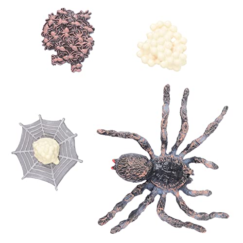minkissy 1 Satz Simulierten Plastikanimalmodellen Lehrspielzeug für Wachstum von Tieren Umweltfreundliche Figuren für Garten und Raumdekoration minkissy 1 Satz Simulierten Plastikanimalmodellen Lehrspielzeug für Wachstum von Tieren Umweltfreundliche Figuren für Garten und Raumdekoration von minkissy