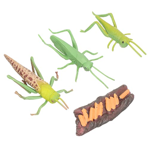 minkissy Kognitives Tiermodellset für Kinder Lebenszyklus Modelle Tierspielzeug zur Frühen Bildung Lernspielzeug für Vorschulkinder Simulierte Tiere für Naturerziehung von minkissy
