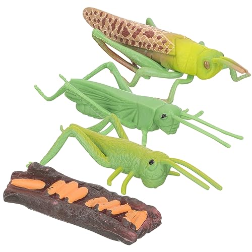 minkissy 1 Satz Tierwachstumszyklus Modellen Pädagogisches für Lernspielzeug Kognitiven Entwicklung für Rollenspiele und Präsentationen minkissy 1 Satz Tierwachstumszyklus Modellen Pädagogisches für Lernspielzeug Kognitiven Entwicklung für Rollenspiele und Präsentationen von minkissy