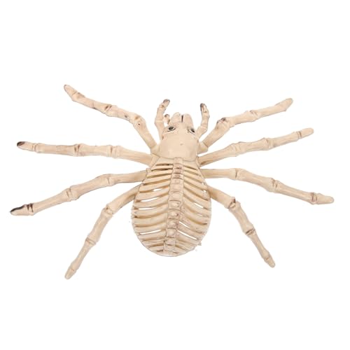 minkissy 1 Stück Gruselige Skelett Spinne Deko Halloween Dekoration Beige für Schaurige Realistische Details Gruselelement für Halloween Partys und Geisterhäuser Zufällige von minkissy