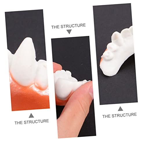 minkissy 10 Stück Teiliges Halloween Kunstzähne Fangs Vampirzähne Künstliche Requisiten für Kostümparty Horror Dekoration Vielseitig Verwendbar Angenehm zu Tragen minkissy 10 Stück Teiliges Halloween Kunstzähne Fangs Vampirzähne Künstliche Requisiten für Kostümparty Horror Dekoration Vielseitig Verwendbar Angenehm zu Tragen von minkissy