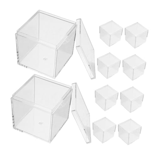 minkissy 10 Stück Transparente Kunststoffbox Aufbewahrungsbehälter für Mineralproben Pflanzen und Tierproben Lebensmittelechte Vitrine für Schreibtischdekoration von minkissy