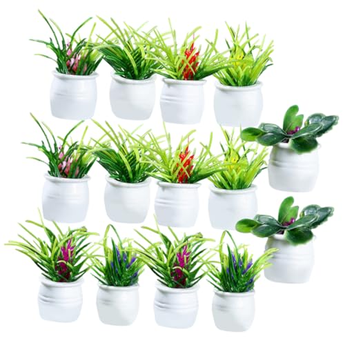 minkissy 14 Stück Teiliges Miniatur Topfpflanzen Modell Realistische Bonsai Dekoration Leichte Puppenhaus Ornamente Glatte Oberfläche für Mikrolandschaft und Kleine Wohnaccessoires minkissy 14 Stück Teiliges Miniatur Topfpflanzen Modell Realistische Bonsai Dekoration Leichte Puppenhaus Ornamente Glatte Oberfläche für Mikrolandschaft und Kleine Wohnaccessoires von minkissy