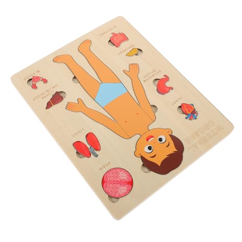minkissy 1Satz Holzpuzzle für Puzzle Körperkenntnis für Jungen und Mädchen für Kindergarten und Frühe Bildung minkissy 1Satz Holzpuzzle für Puzzle Körperkenntnis für Jungen und Mädchen für Kindergarten und Frühe Bildung von minkissy