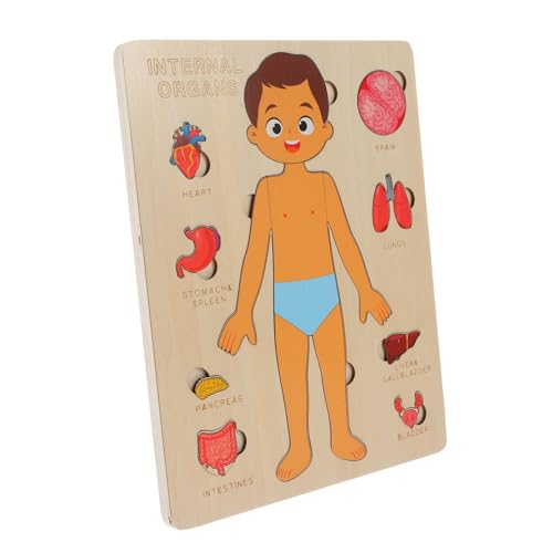 minkissy 1Satz Menschliches Körper Puzzle für Holzkörper und Organen Pädagogisches zur Frühschulerziehung Fördert Kognitive Fähigkeiten und Hand Augen Koordination minkissy 1Satz Menschliches Körper Puzzle für Holzkörper und Organen Pädagogisches zur Frühschulerziehung Fördert Kognitive Fähigkeiten und Hand Augen Koordination von minkissy