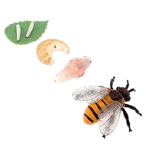 minkissy 1Satz Simulation Bienenmodell Insektenlebenszyklus Miniaturspielzeug für Teiliges für Kreative Lernspiele und von minkissy