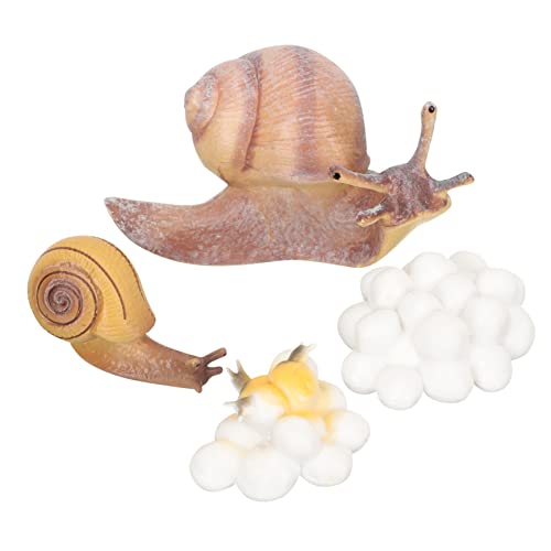 minkissy 1Satz Tierlebenszyklus Modelle Teiliges Lernspielzeug aus Hochwertigem Material für Geschichten Rollenspiele für Geburtstage oder Weihnachten minkissy 1Satz Tierlebenszyklus Modelle Teiliges Lernspielzeug aus Hochwertigem Material für Geschichten Rollenspiele für Geburtstage oder Weihnachten von minkissy