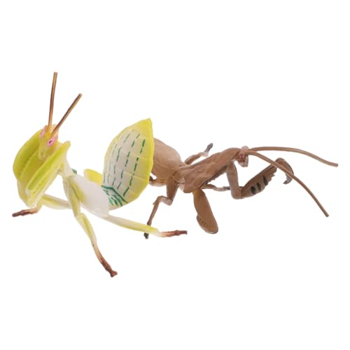 minkissy 2 Stück Realistische Insekten Dekoration für Garten Schule und Zuhause für Bildungszwecke und Familienaktivitäten von minkissy