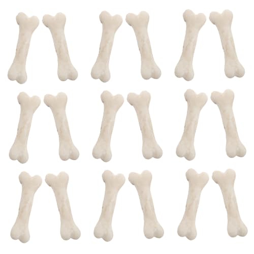 minkissy 20 Stück Teiliges Mini Skelett Knochen Modell aus Resin Realistische Kleine Hundeknochen Miniatur Vielseitig für DIY Puppenhaus Halloween Dekoration und Bastelbedarf Tragbar und von minkissy