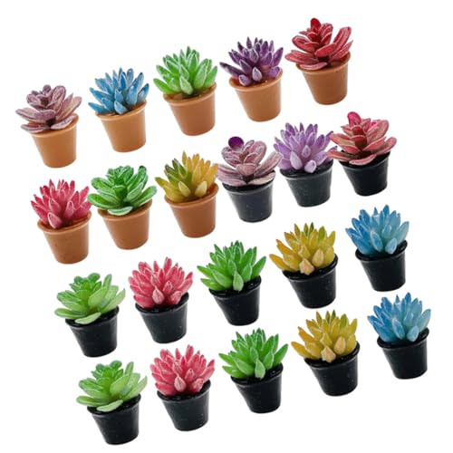 minkissy 24 Stück Teiliges Mini Sukkulenten Künstlich in Resin Realistische Miniatur Topfpflanzen für Puppenhaus Kreative Dekoration für DIY Mini Garten Büro und Wohnraumgestaltung minkissy 24 Stück Teiliges Mini Sukkulenten Künstlich in Resin Realistische Miniatur Topfpflanzen für Puppenhaus Kreative Dekoration für DIY Mini Garten Büro und Wohnraumgestaltung von minkissy
