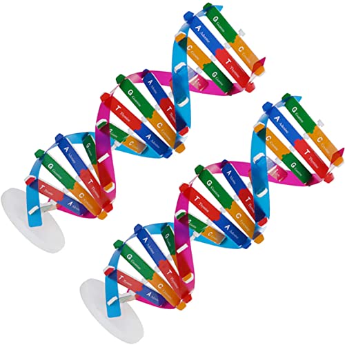 minkissy 2Stücke Teiliges DNA Doppelhelix Modell Bildungsinstrument für Biologieunterricht Lernspielzeug zur Veranschaulichung der DNA Struktur für Molekülbaukästen minkissy 2Stücke Teiliges DNA Doppelhelix Modell Bildungsinstrument für Biologieunterricht Lernspielzeug zur Veranschaulichung der DNA Struktur für Molekülbaukästen von minkissy