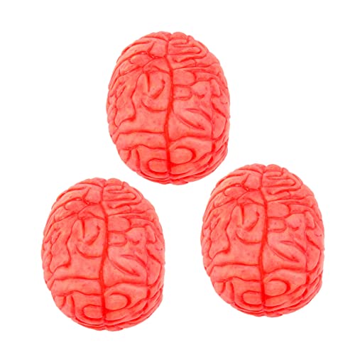 minkissy 3 Stück Teiliges Halloween Deko Realistische Vinyl Gehirnmodelle Detailgetreues Menschliches Organspielzeug für Klassenzimmer Dekoration Leichte Kompakte Nachbildung minkissy 3 Stück Teiliges Halloween Deko Realistische Vinyl Gehirnmodelle Detailgetreues Menschliches Organspielzeug für Klassenzimmer Dekoration Leichte Kompakte Nachbildung von minkissy