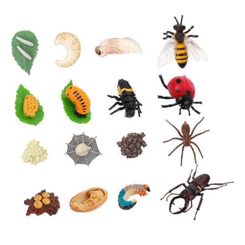 minkissy 4 Sätze Teiliges Wachstumszyklus Lernspielzeug für Realistische Insektenmodelle aus Sicherem Kunststoff Marienkäfer Spinne Biene und Hirschkäfer Fördert Naturverständnis und minkissy 4 Sätze Teiliges Wachstumszyklus Lernspielzeug für Realistische Insektenmodelle aus Sicherem Kunststoff Marienkäfer Spinne Biene und Hirschkäfer Fördert Naturverständnis und von minkissy