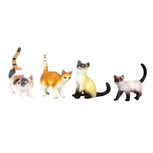minkissy 4 Stück Teiliges Katzenspielzeug aus Leichtem Bruchsicherem Kunststoff Realistische Katzenmodelle als Dekofiguren und Sammlerstücke für Innenräume Biologieunterricht und minkissy 4 Stück Teiliges Katzenspielzeug aus Leichtem Bruchsicherem Kunststoff Realistische Katzenmodelle als Dekofiguren und Sammlerstücke für Innenräume Biologieunterricht und von minkissy
