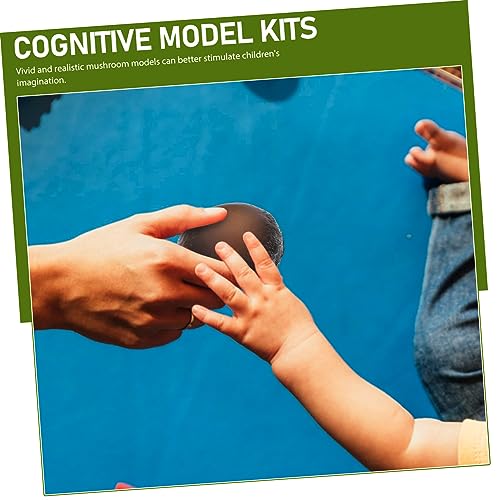 minkissy 4 Stück Teiliges Pilzwachstum Lernspielzeug aus Leichtem PVC Realistische Pilzmodelle Interaktives Biologisches Lernset für Anschaulichen Natur und Biologieerfahrung minkissy 4 Stück Teiliges Pilzwachstum Lernspielzeug aus Leichtem PVC Realistische Pilzmodelle Interaktives Biologisches Lernset für Anschaulichen Natur und Biologieerfahrung von minkissy