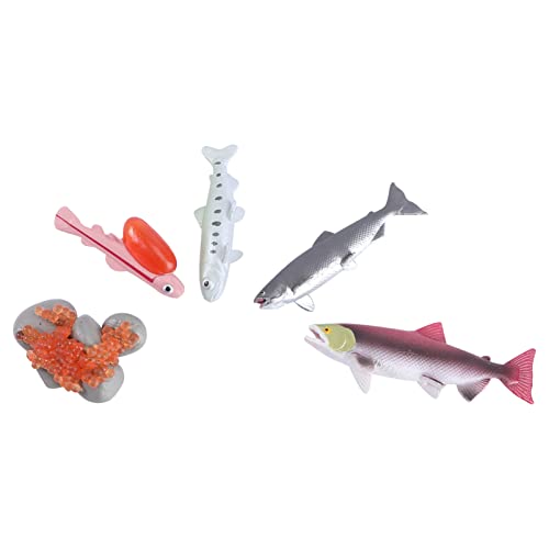 minkissy 4Stücke Teiliges Lachsmodell für Lebensechtes Fisch Spielset zur Kognitiven Sicheres und Langlebiges Material für Geburtstagsgeschenke und Partys von minkissy