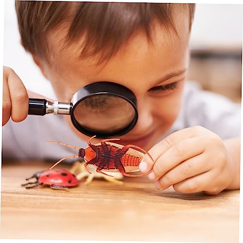 minkissy 50 Stück Realistische Insekten Simulation Täuschende und Modelle Leichtes Pranks für Halloween Deko und Streichfans minkissy 50 Stück Realistische Insekten Simulation Täuschende und Modelle Leichtes Pranks für Halloween Deko und Streichfans von minkissy
