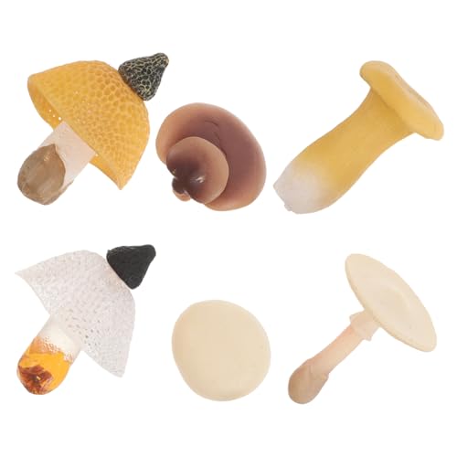 minkissy 6 Stück Realistische Dekoration für Spielküche und Fotografie Simulierte Gemüse Modelle für Frühkindliche Bildung und Miniatur Landschaften minkissy 6 Stück Realistische Dekoration für Spielküche und Fotografie Simulierte Gemüse Modelle für Frühkindliche Bildung und Miniatur Landschaften von minkissy