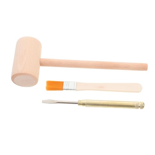 minkissy Archäologie Grabungsset mit Holzhammer Metallmeißel und Pinsel Stem Wissenschafts für Mädchen und Jungen Kreativität Naturinteresse und Kognitiven Fähigkeiten von minkissy