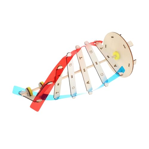 minkissy DIY DNA Modell Bausatz Holz Doppelhelix Wissenschaftliches Lernspielzeug für Klassenzimmer Dekoration Fördert Neugier und Biologieverständnis von minkissy