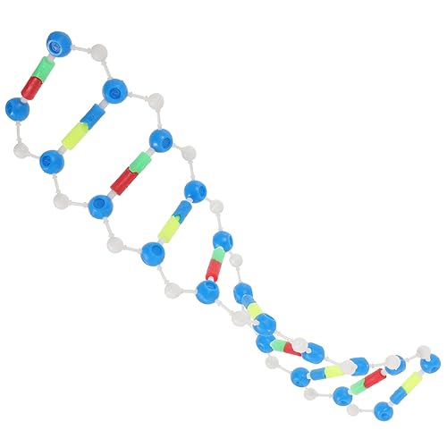 minkissy DNA Modell Bausatz Doppelhelixstruktur für Bildungszwecke Pädagogisches Instrument zur Montage von Menschlicher DNA Lehrmittel Beobachtungs und Analysefähigkeiten von minkissy