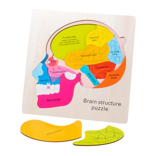 minkissy Gehirnstruktur Puzzle für Holz Lernspielzeug und Kreativität von minkissy