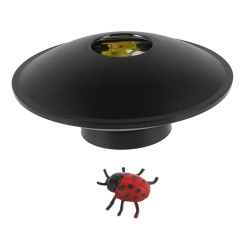 minkissy 3D Mirascope Illusionsspielzeug für Kinder Optisches Wissenschaftsspielzeug mit Marienkäfer Design Pädagogisch und Interaktiv für Experimente und Entdeckungen von minkissy