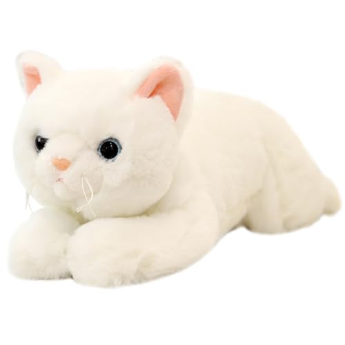 minkissy Kawaii Plüschtier Katze Weiches Realistisches Kuscheltier für Dekoration für Kinderzimmer Wohnzimmer und Büro Waschbar und Langlebig für Kreative Einrichtung minkissy Kawaii Plüschtier Katze Weiches Realistisches Kuscheltier für Dekoration für Kinderzimmer Wohnzimmer und Büro Waschbar und Langlebig für Kreative Einrichtung von minkissy