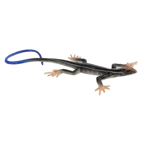 minkissy Kunststoff Modell Figurine Pädagogisches für Dekoration für Partys und Kreative Lernmaterialien Sicher und minkissy Kunststoff Modell Figurine Pädagogisches für Dekoration für Partys und Kreative Lernmaterialien Sicher und von minkissy