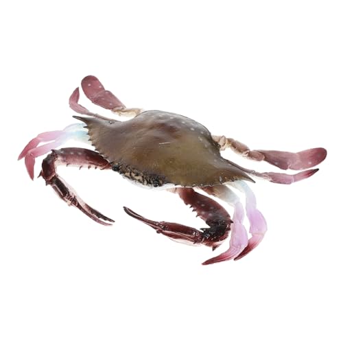 minkissy Lebensechte Krabbenfigur aus PVC Dekoratives für Aquarien Lernspielzeug und Haushaltsdeko Künstliche Meerestiere für Kreative Gestaltung und Interaktive Spiele von minkissy